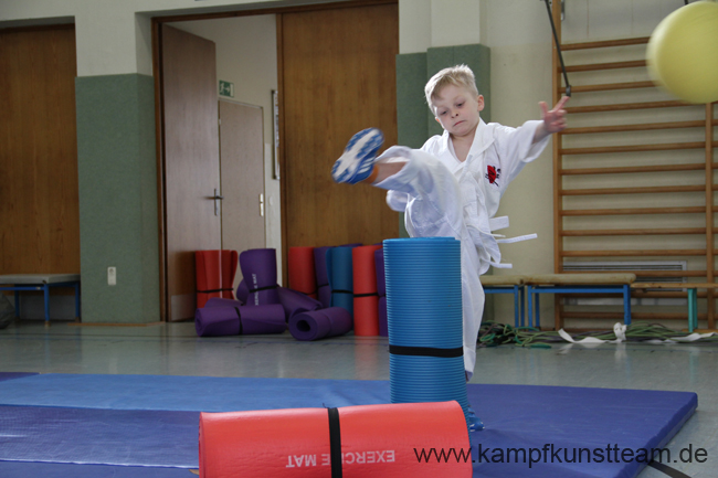 2014 - KIGA-Karate